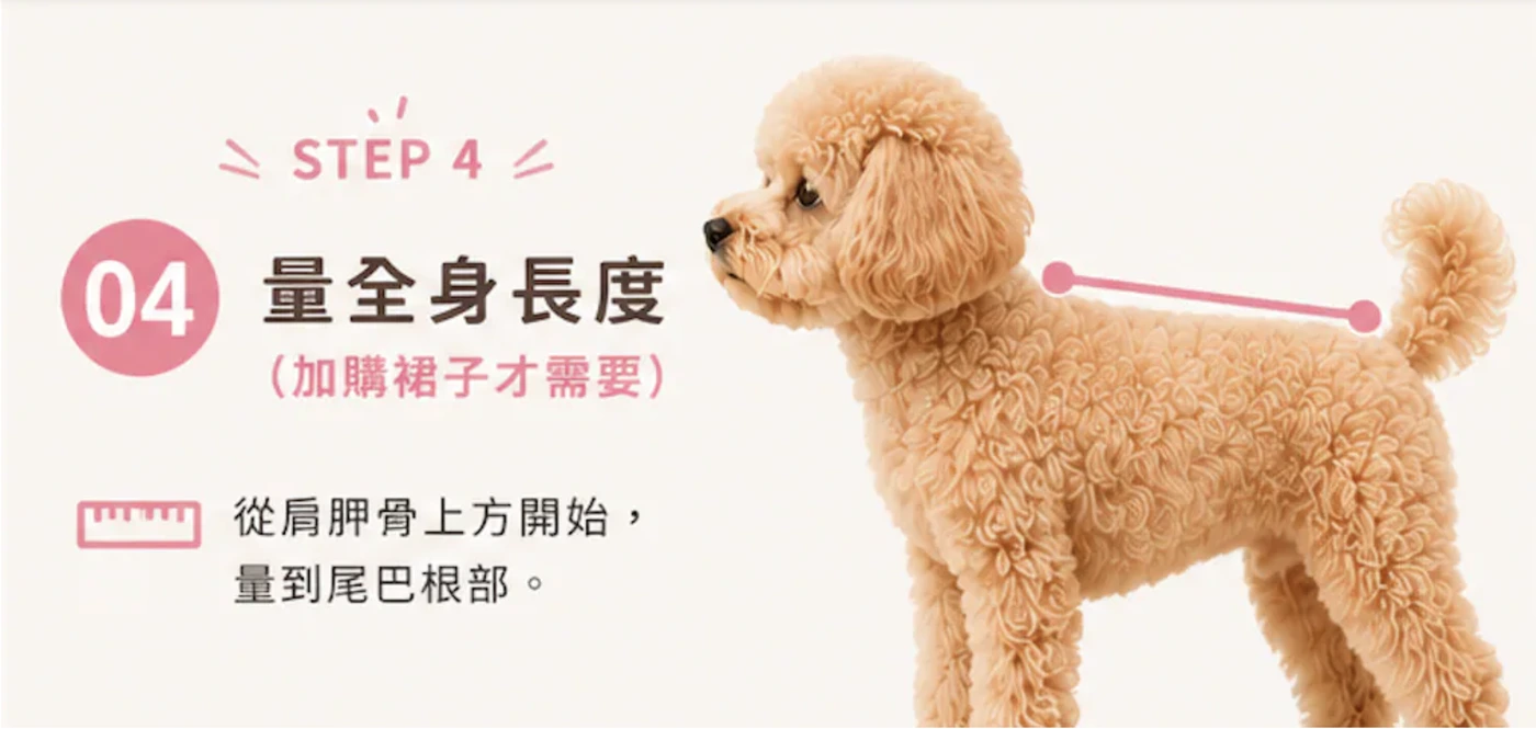 STEP 4 量全身長度：從肩胛骨上方量到尾巴根部，加購裙子才需要