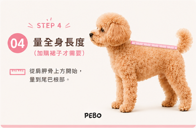 STEP 4 量全身長度：從肩胛骨上方量到尾巴根部，加購裙子才需要